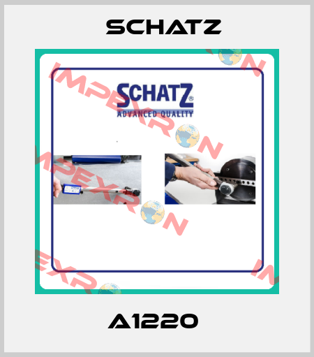 A1220  Schatz