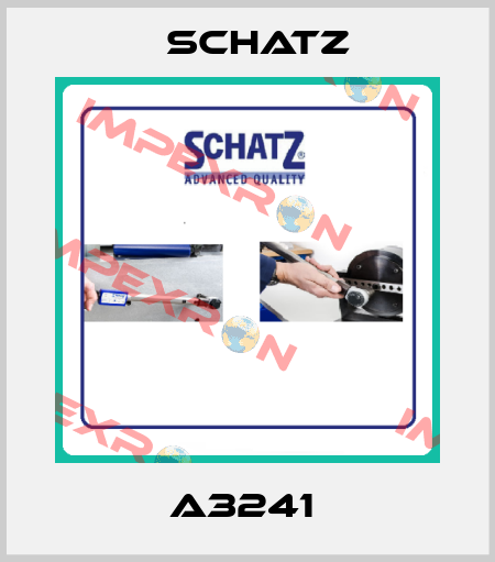 A3241  Schatz