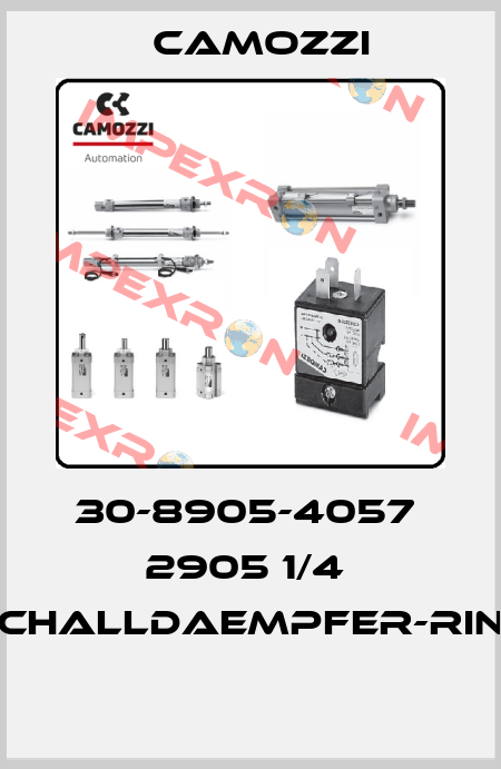 30-8905-4057  2905 1/4  SCHALLDAEMPFER-RING  Camozzi