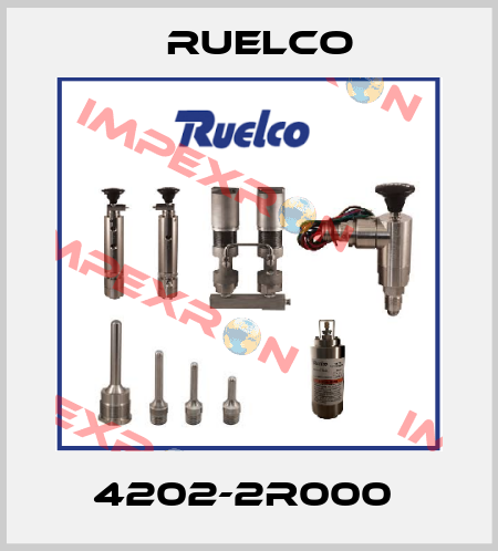 4202-2R000  Ruelco