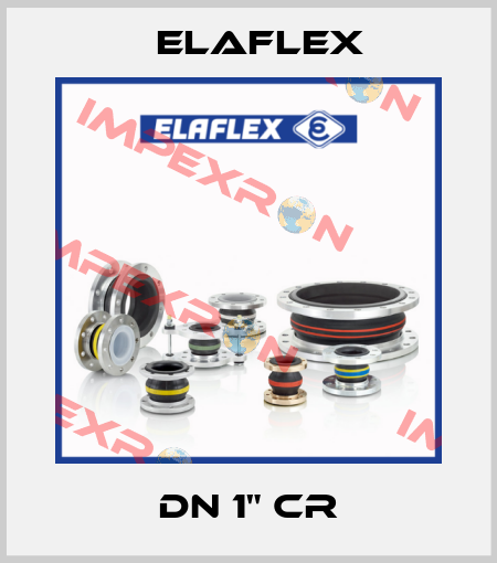 DN 1" cr Elaflex