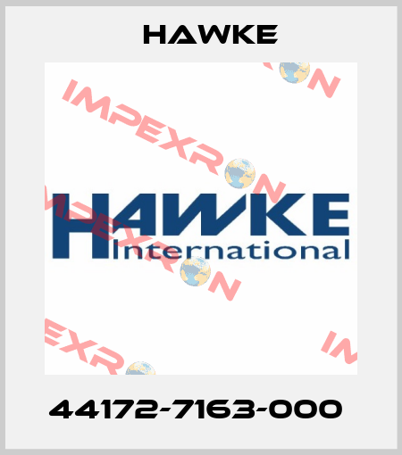 44172-7163-000  Hawke