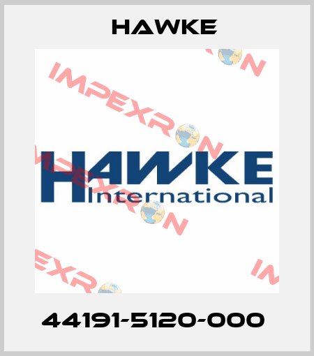44191-5120-000  Hawke