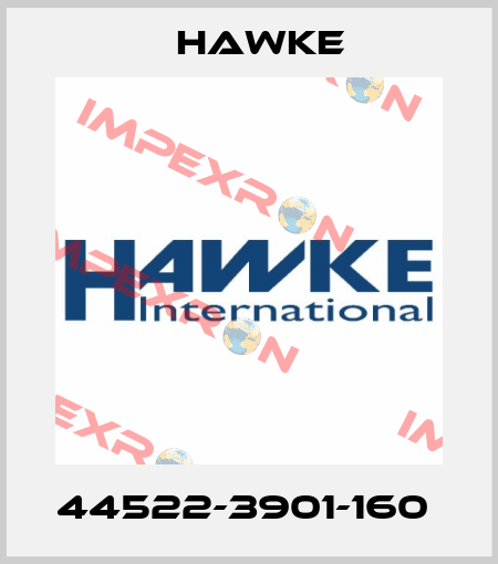 44522-3901-160  Hawke
