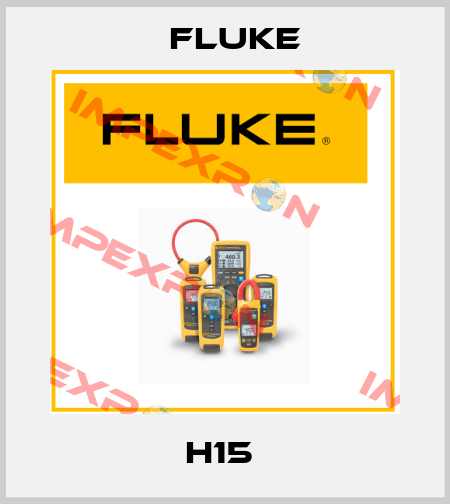 H15  Fluke