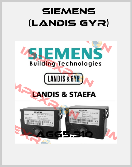 AGG5.310  Siemens (Landis Gyr)