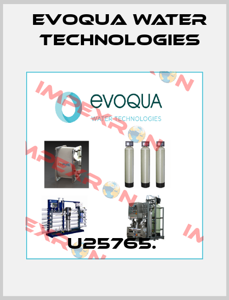 U25765.  Evoqua Water Technologies