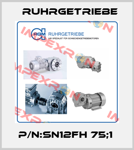 P/N:SN12FH 75;1  Ruhrgetriebe