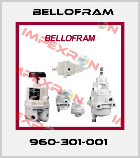 960-301-001  Bellofram