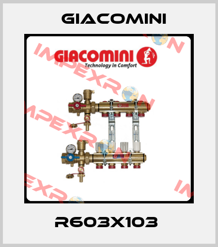R603X103  Giacomini