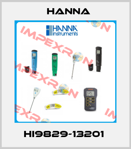 HI9829-13201  Hanna