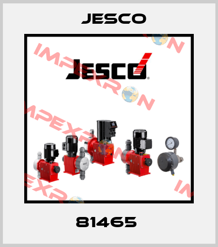81465  Jesco