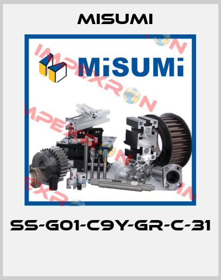 SS-G01-C9Y-GR-C-31  Misumi