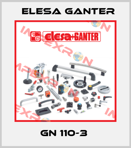 GN 110-3  Elesa Ganter