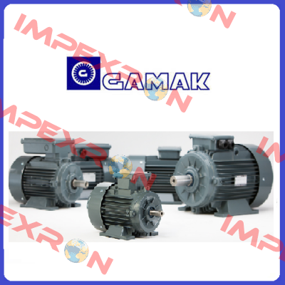 0,75 KW 1500D/D 400V 50HZ B3 IE2  Gamak