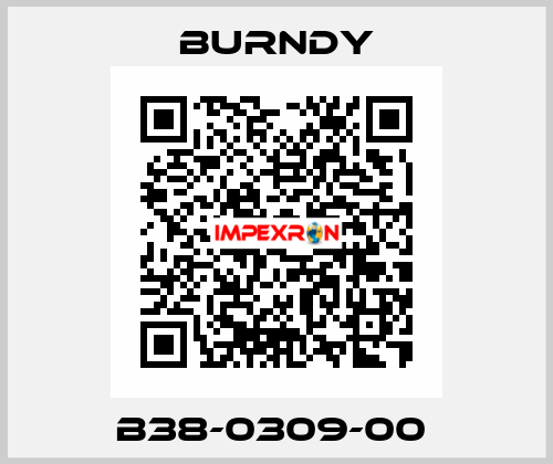 B38-0309-00  Burndy
