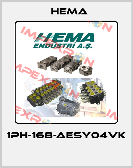 1PH-168-AESY04VK  Hema