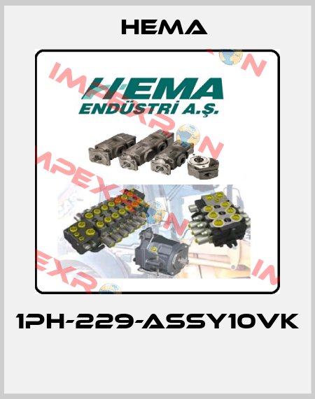 1PH-229-ASSY10VK  Hema