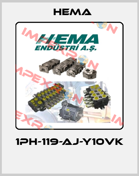 1PH-119-AJ-Y10VK  Hema