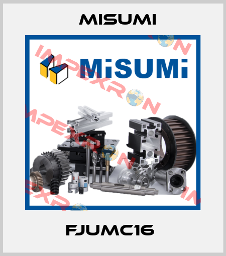 FJUMC16  Misumi