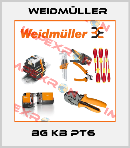 BG KB PT6  Weidmüller