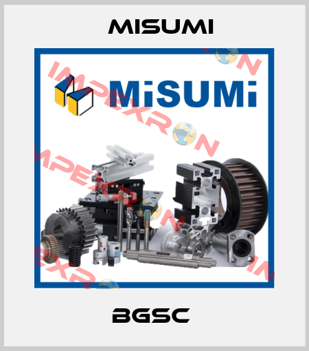BGSC  Misumi