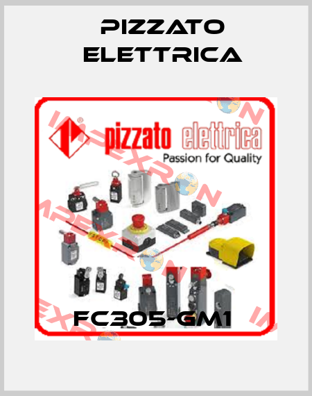 FC305-GM1  Pizzato Elettrica