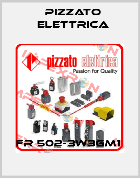 FR 502-3W3GM1  Pizzato Elettrica