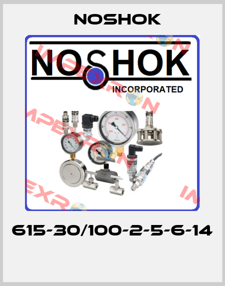 615-30/100-2-5-6-14  Noshok