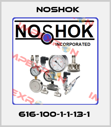 616-100-1-1-13-1  Noshok