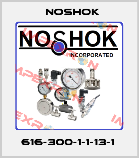 616-300-1-1-13-1  Noshok