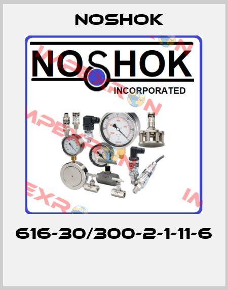 616-30/300-2-1-11-6  Noshok