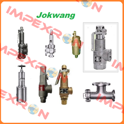 FF100-C-3/4"D1"-A21-212-CN2 27BARG  Jokwang