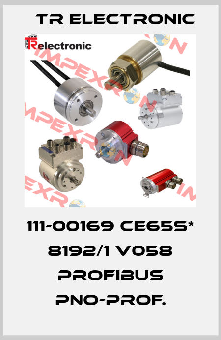 111-00169 CE65S* 8192/1 V058 PROFIBUS PNO-PROF. TR Electronic