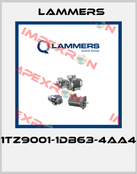 1TZ9001-1DB63-4AA4  Lammers