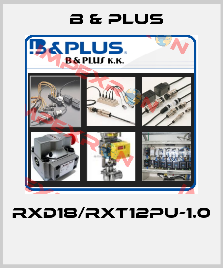 RXD18/RXT12PU-1.0  B & PLUS