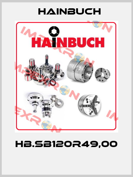 HB.SB120R49,00  Hainbuch