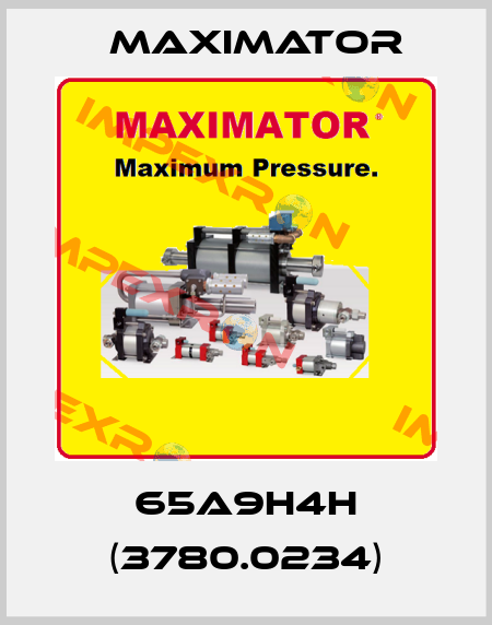 65A9H4H (3780.0234) Maximator