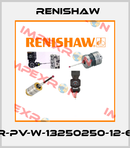 R-PV-W-13250250-12-6 Renishaw