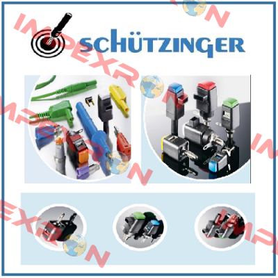 SKURZ 6100 / 19-4 IG 2MB NI / RT Schutzinger