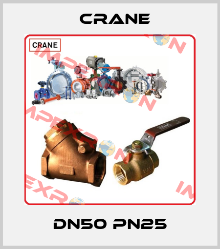 DN50 PN25 Crane