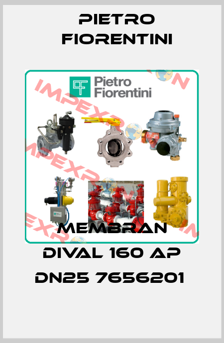 MEMBRAN DIVAL 160 AP DN25 7656201  Pietro Fiorentini