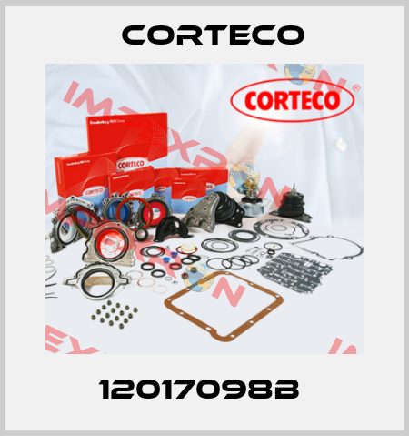 12017098B  Corteco