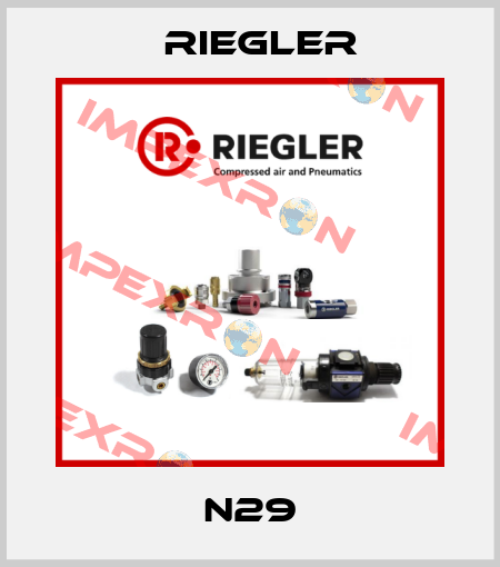 N29 Riegler