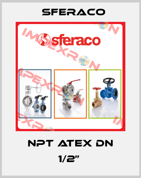 NPT ATEX DN 1/2”  Sferaco