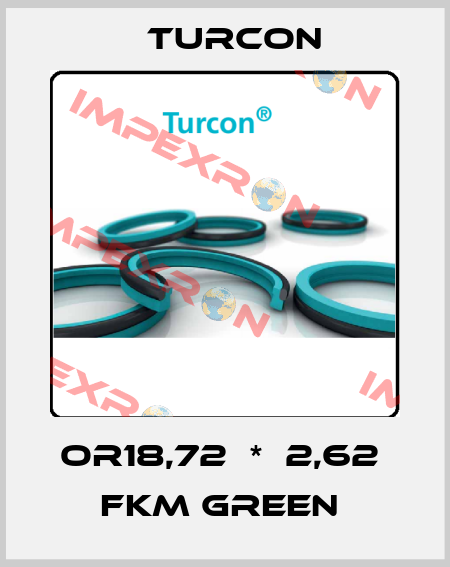 OR18,72  *  2,62  FKM GREEN  Turcon