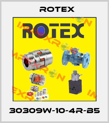 30309W-10-4R-B5 Rotex