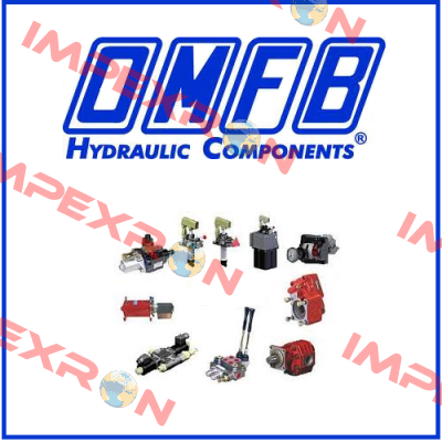 50700100791 OMFB Hydraulic