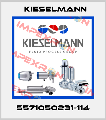 5571050231-114 Kieselmann