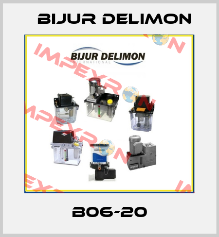 B06-20 Bijur Delimon